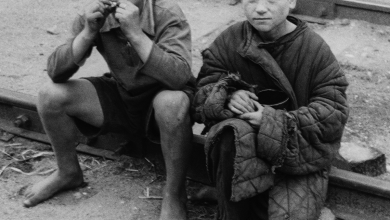 Photo of Успешные истории детей-сирот