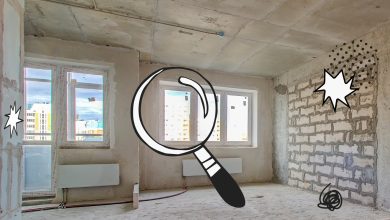 Photo of Принятие и понимание в новом доме