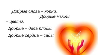 Photo of Добрые сердца для сирот